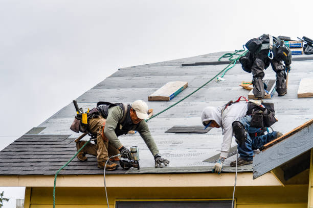 Professional Storm Damage Roof Repair technician working in Greenup, KY